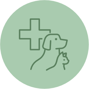 犬貓日常診療