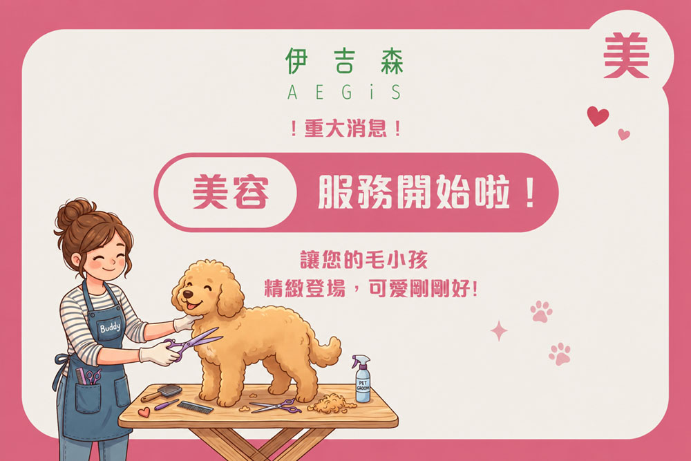 美容服務正式開放預約！